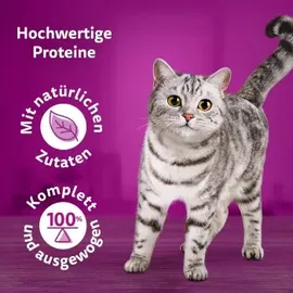 Whiskas Pure Delight Geflügel Ragout in Gelee 40 x 85 g