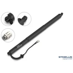 Stabilus Elektromotor, Heckklappe [Hersteller-Nr. 220893] für Skoda