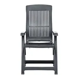 vidaXL Verstellbare Gartenstühle 60 x 61 x 109 cm anthrazit 2 St. 48768