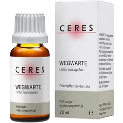 CERES WEGWARTE CICHORIUM