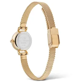 Daniel Wellington Petite Mini Evergold