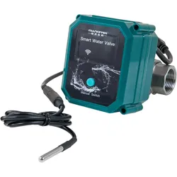 FRANKEVER Wasserventil Smart Water Valve DN25, grün/schwarz