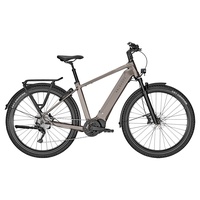 Kalkhoff Entice 5.B Move+ Bosch 625Wh Elektro Trekking Bike Moonstonegrey matt | 29" Herren Diamant L/53cm