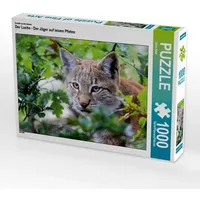 Calvendo Ein Motiv aus dem Kalender Der Luchs -