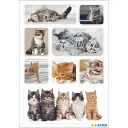 HERMA Aufkleber Katzen