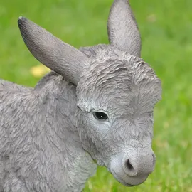 dazikemo Gartenfigur Esel Fohlen