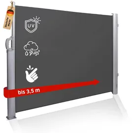 Noor Seitenmarkise 200 x 350 cm Anthrazit Polyester