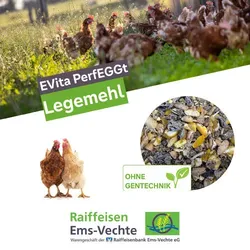 EVita PerfEGGt Legemehl 20kg, Hühnerfutter Futtermehl für Geflügel ohne Gentechnik