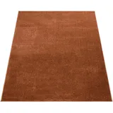 Paco Home Teppich Wohnzimmer Kurzflor Schlafzimmer Modernes Einfarbiges Muster Braun Rot Kupfer, Grösse:60x100 cm