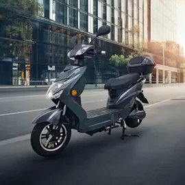 urban hopper Enjoy 1000 Watt 45 km/h grau