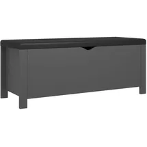 vidaXL Truhenbank Grau 105 x 40 x 45 cm