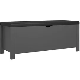 vidaXL Truhenbank Grau 105 x 40 x 45 cm