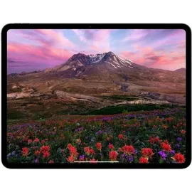 Apple iPad Pro 13" (7. Generation 2024) 256 GB Wi-Fi silber