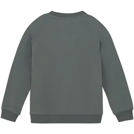 Color Kids Sweater Green 164