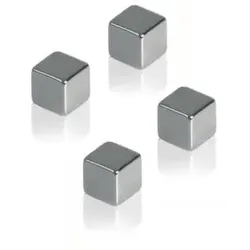 Blomus 6 Magnete