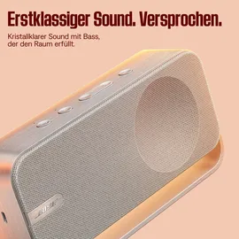 Bose SoundLink Home Helles Silber