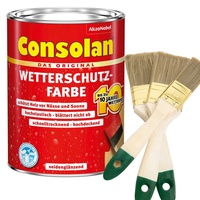 Consolan Wetterschutzfarbe Holz Seidenglänzend (inkl. Nordje Pinsel-Set 3-teilig) (5L, Grün)