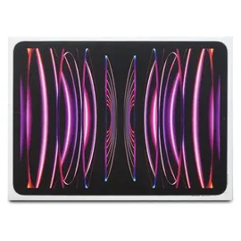 Apple iPad Pro 11" (4. Generation 2022) 512 GB Wi-Fi space grau