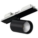 Siteco LED-Strahlermodul 51SL347A43B