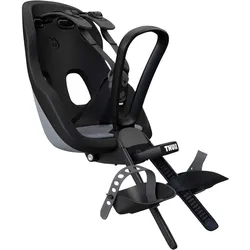 Thule Kinderfahrradsitz Yepp Nexxt 2 Mini, grau