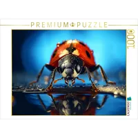Calvendo Puzzle Marienkäfer 1000 Teile Lege-Größe 64x48cm Foto-Puzzle für glückliche Stunden