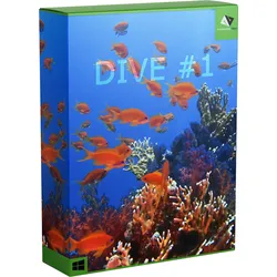 DIVE #1