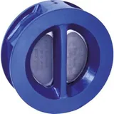 KSB Rückschlagklappe Serie 2000, DN50 PN16
