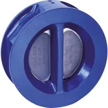 KSB Rückschlagklappe Serie 2000, DN50 PN16