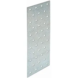 SIMPSON STRONG TIE SST Lochblech NP20 100x300x2
