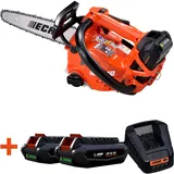 Echo Akku-Motorsäge Echo DCS-2500 - AKKU UND LADEGERÄT