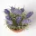 Homescapes Künstliche Lavendel-topfpflanze - Homescapes