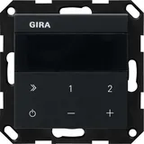 Gira 2320005 IP System 55