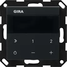 Gira 2320005 IP System 55