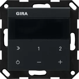 Gira 2320005 IP System 55