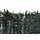 Mendler Balkonsichtschutz N77, Sichtschutz Windschutz Verkleidung für Balkon Terrasse Zaun ~ 300x150cm Tanne dunkel