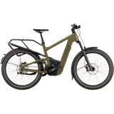 Riese & Müller Riese und Müller Delite5 GT pinion - 27.5 Zoll 800Wh 12G Fully - - 51 cm