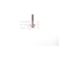 Gh Schraube, Achszapfen