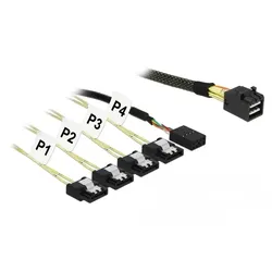 Delock SATA- / SAS-Kabel - SAS 12Gbit/s - Mini SAS HD (SFF-8643)