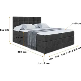 altdecor APO KING 120 x 200 cm H3/H4 Schwarz