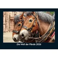 Vero Kalender Die Welt der Pferde 2026 Fotokalender DIN