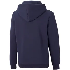 Puma Hoodie Blue 140