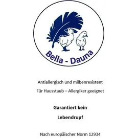 Betten Hofmann Set leichte Ganzjahresdecke Daunendecke Bettdecke 4x6 155x220 + Kissen 40x80 - Weiß