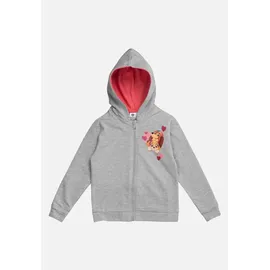 Paw Patrol Hoodie Grey 110