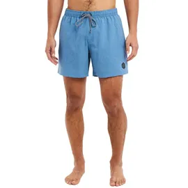 Protest Badeshorts Davey River Blue L