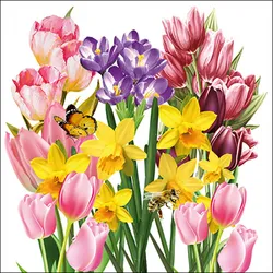 Ambiente 20 Servietten Papier 33x33cm 3-lagig - hochwertige Einweg Papierservietten Tulpen Narzissen Krokusse Frühling Biene Schmetterling Blumenmotiv Feier