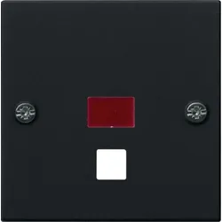 Gira Zugschnur Schalter schwarz mit System 55 0638005