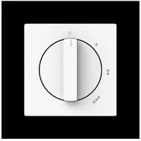 Busch-Jaeger Zentralscheibe 2542 DR/01-44G