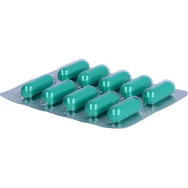 Hepar-SL 640 mg Filmtabletten 50 St.