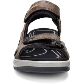ECCO Offroad Herren espresso/cocoa 48