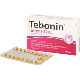 Dr. Willmar Schwabe Tebonin intens 120 mg Filmtabletten 120 St.